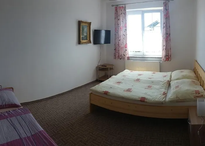 Πανσιόν Panter Horní Planá